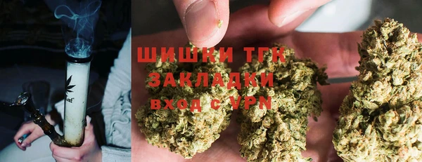 ПСИЛОЦИБИНОВЫЕ ГРИБЫ Алзамай