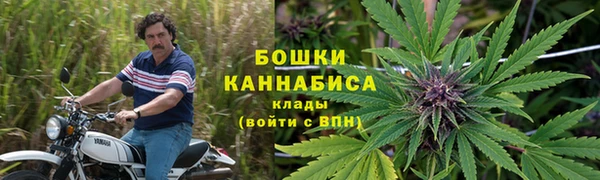 соль ск Алексеевка